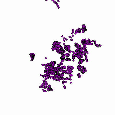 Export Image