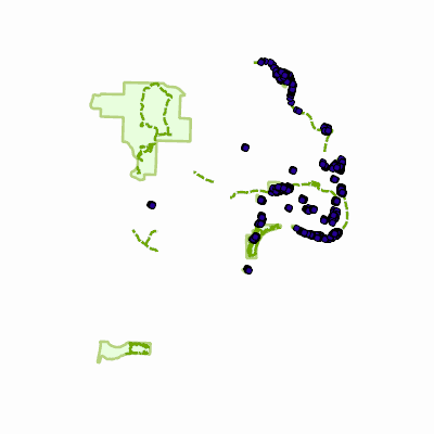 Export Image
