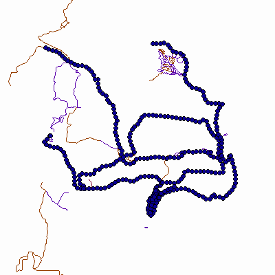 Export Image
